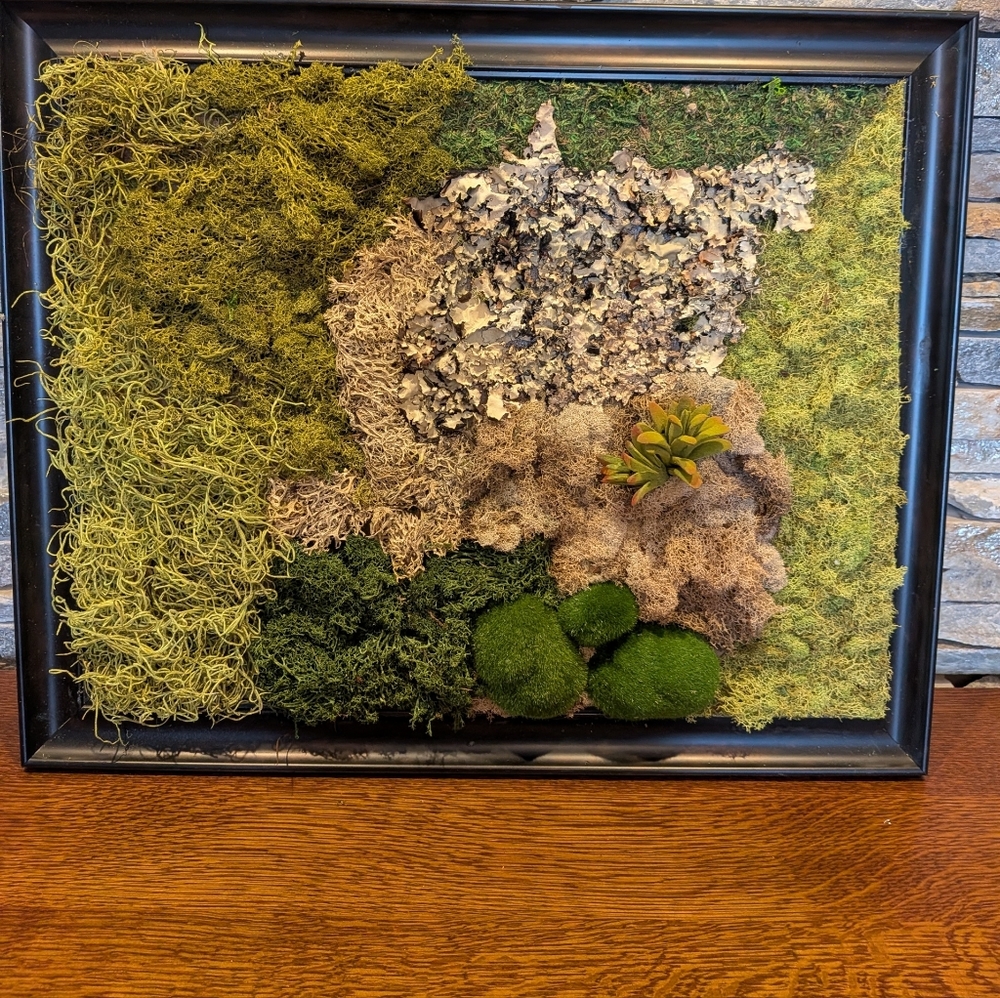 Framed Moss and Succulent Wall Art